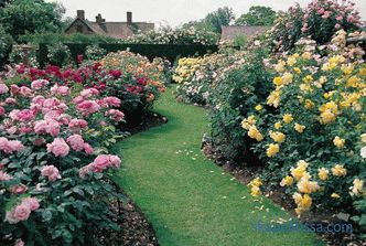 Engleski vrt - deset osnovnih načela njegovog uređenja