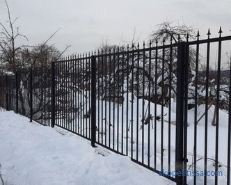 kupiti moskovsku ogradu s kapijom i prolazom