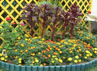 Granica za cvjetnjake - foto ideje, kako napraviti dekorativnu ogradu za cvijeće