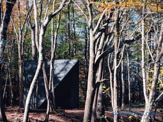 Minijaturna kuća u kristalnom obliku u šumi Lansville