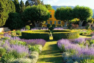 Provence style garden - osnovna pravila formacije
