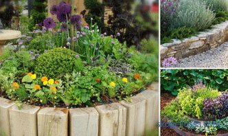 fotografije i osnovne preporuke za stvaranje prekrasnog vrta
