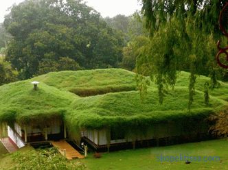 Zeleni krov - ljepota ili dobro