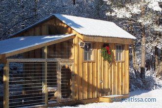 Topla kokošinjac za zimu, koju vrstu zgrade odabrati, što treba uzeti u obzir prilikom gradnje